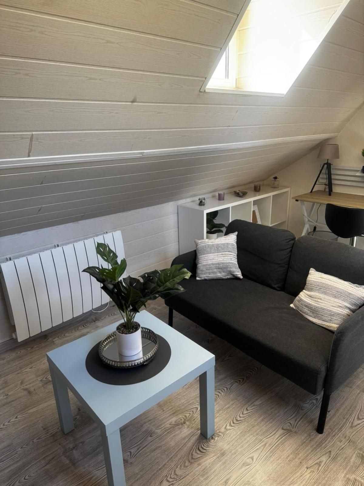 Magnifique F2 Du Bonheur Apartment Besancon Bagian luar foto